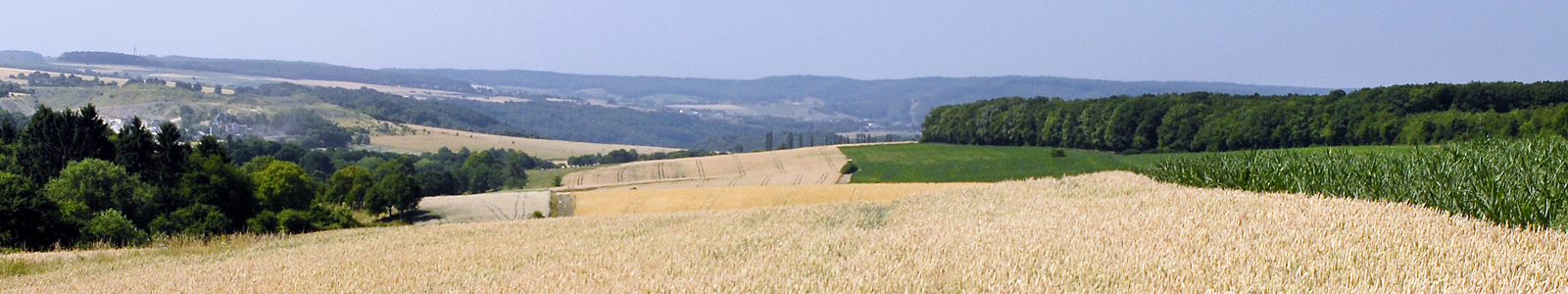 Weizenfeld mit Landschaft und Bergen umliegend ©Feuerbach